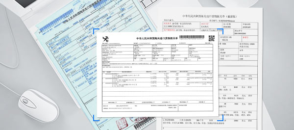 Quickly and accurately recognizes and extracts information from import and export declarations in different formats.