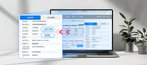 Return JSON, XML recognition results