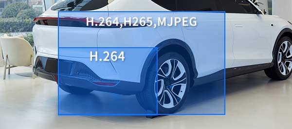 Outputs two video streams at different resolutions with H.265 support to reduce bandwidth and storage.